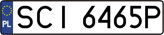 SCI6465P