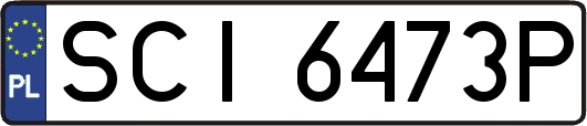 SCI6473P