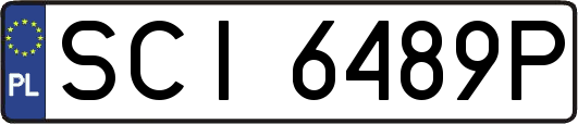 SCI6489P