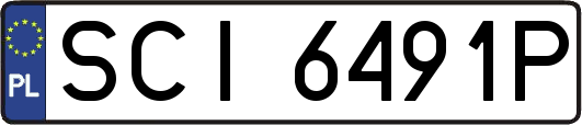 SCI6491P