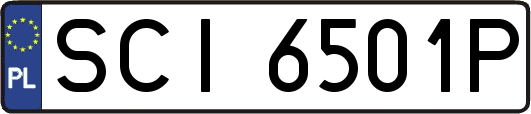 SCI6501P
