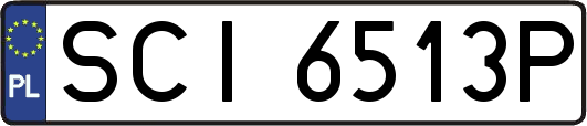 SCI6513P