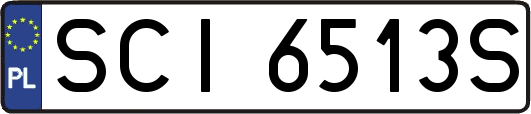 SCI6513S