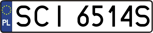 SCI6514S