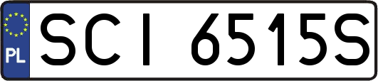 SCI6515S