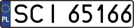 SCI65166