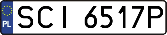 SCI6517P