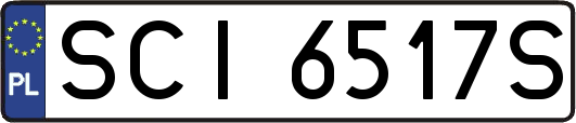 SCI6517S