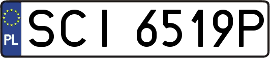 SCI6519P