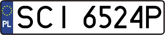SCI6524P