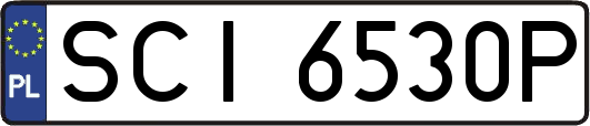 SCI6530P