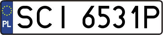 SCI6531P