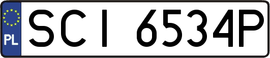 SCI6534P