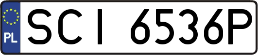 SCI6536P