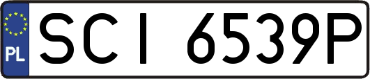 SCI6539P