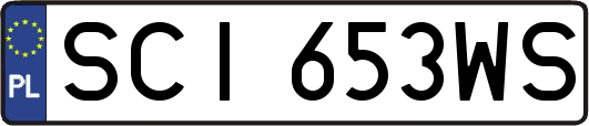 SCI653WS