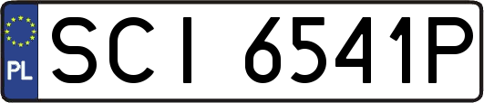 SCI6541P