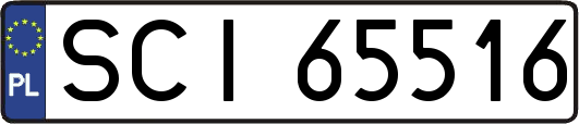 SCI65516