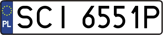 SCI6551P
