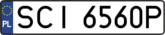 SCI6560P
