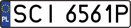 SCI6561P