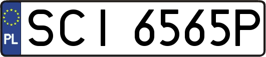 SCI6565P