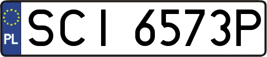 SCI6573P