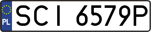 SCI6579P