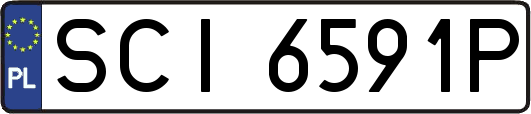 SCI6591P