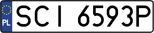 SCI6593P
