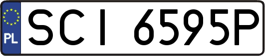 SCI6595P