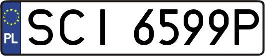 SCI6599P