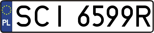 SCI6599R