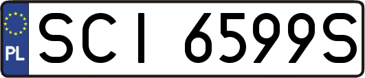 SCI6599S