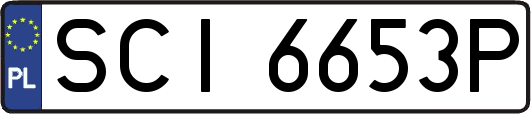 SCI6653P