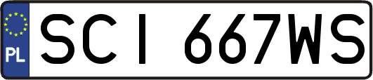 SCI667WS