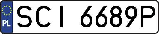 SCI6689P