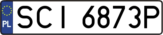 SCI6873P