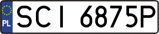 SCI6875P