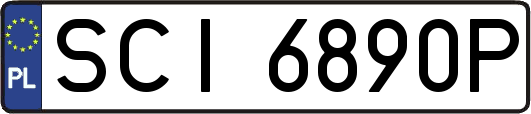 SCI6890P