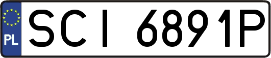 SCI6891P