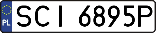 SCI6895P
