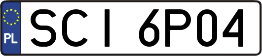 SCI6P04