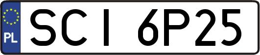 SCI6P25