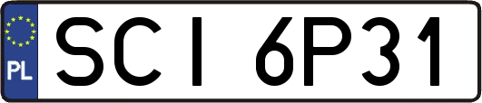 SCI6P31