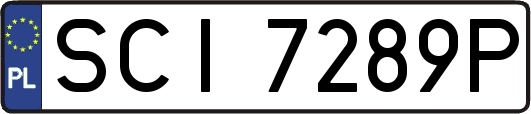 SCI7289P