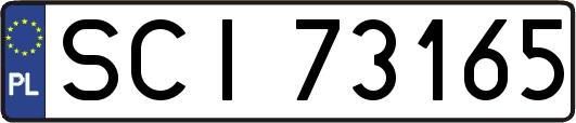 SCI73165