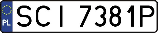 SCI7381P