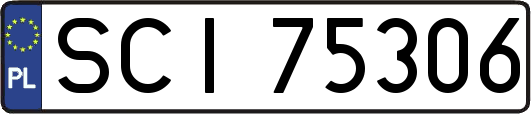 SCI75306
