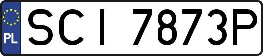 SCI7873P